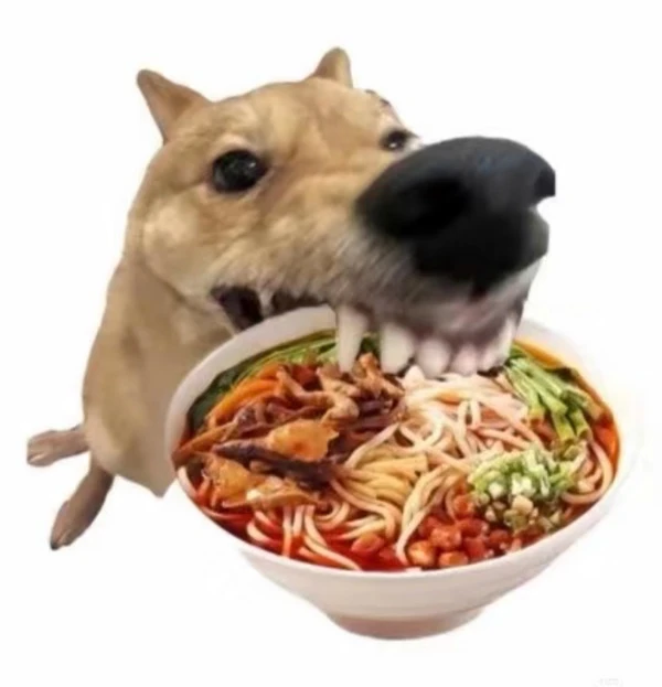 Một con chó ăn một bát thức ăn từ một cái bát ảnh meme chó