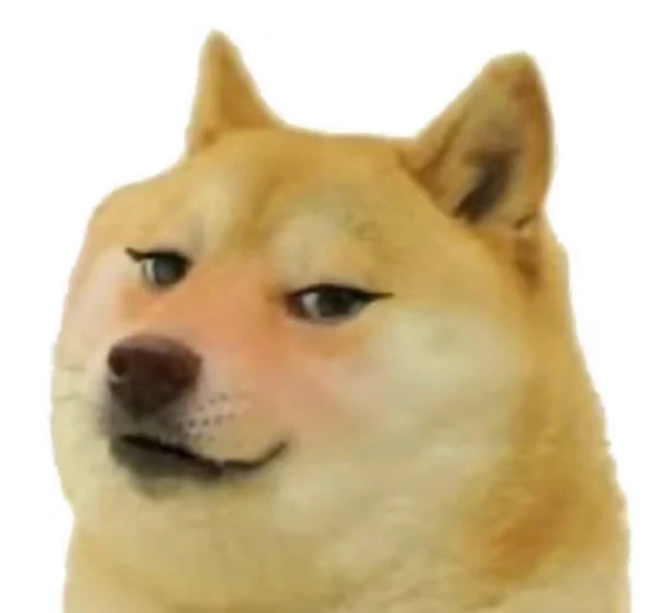 một con chó có mũi to và mũi to ảnh meme chó