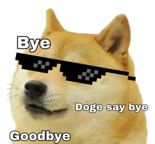 một con chó có pixel trên mặt nó ảnh meme chó