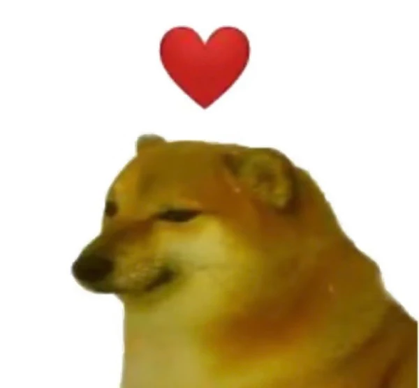 một con chó có trái tim trên đầu ảnh meme chó