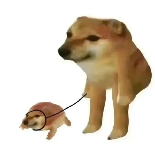 Một con chó đang chơi với một con chuột nhỏ ảnh meme chó