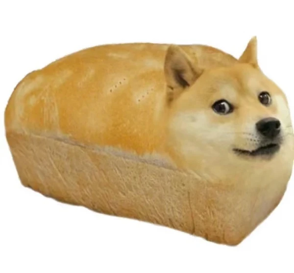 Một con chó đang ngồi trên một ổ bánh ảnh meme chó