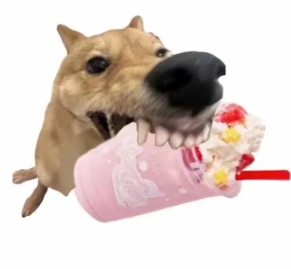 Một con chó đang nhai đồ chơi ảnh meme chó