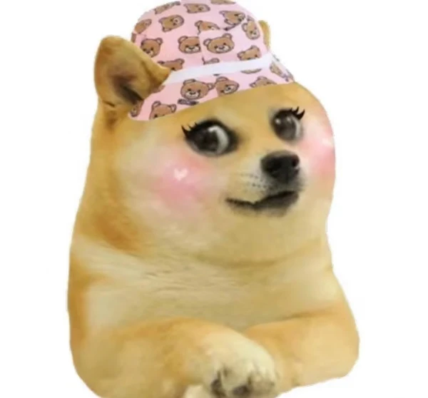một con chó với một ban nhạc màu hồng trên đầu của nó ảnh meme chó