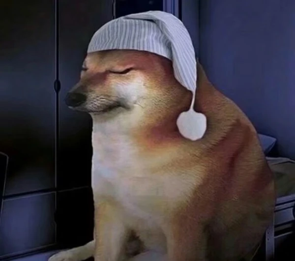 Một con mèo đội mũ ngồi trên máy bay ảnh meme chó