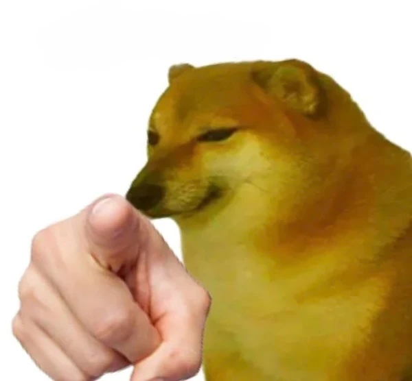 Một người ôm một con chó nhỏ trong tay ảnh meme chó