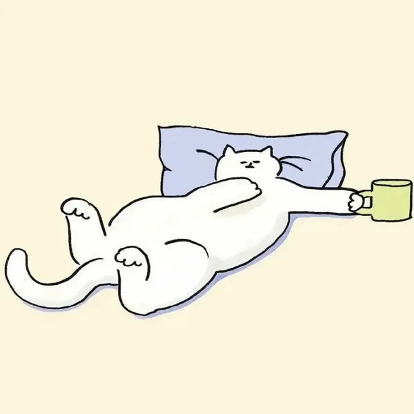 Có một con mèo đang nằm với tách cà phê