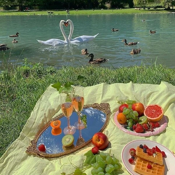 avatar chill cảnh picnic