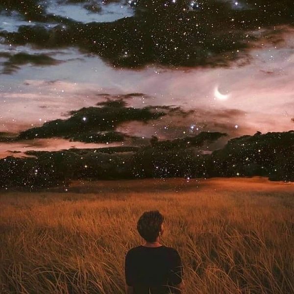 avatar chill cảnh đồng ruộng