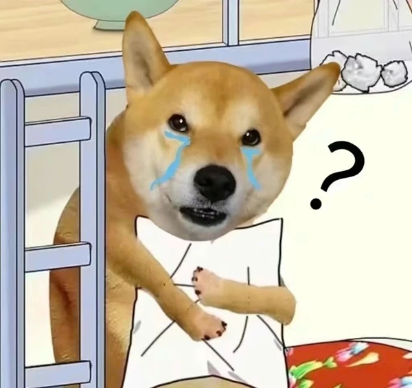Một con chó có áo sơ mi trắng đang đứng trước giường crying meme