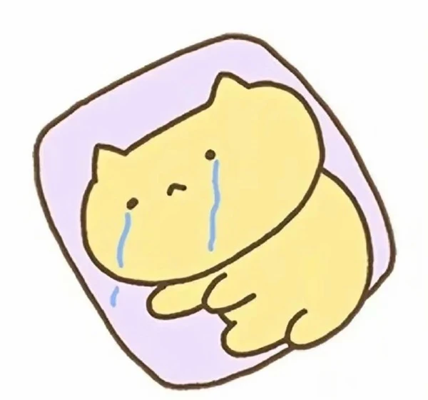 Một con mèo đang khóc trong một cái hộp crying meme
