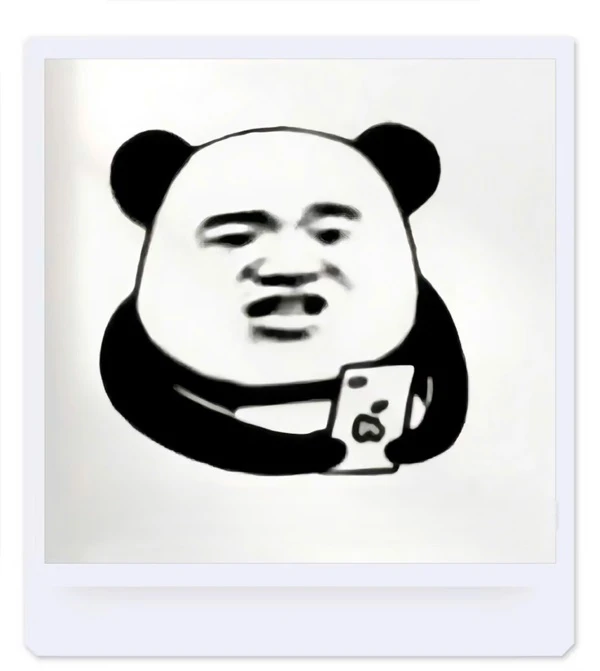 một con gấu trúc có máy ảnh trong miệng gấu trúc meme
