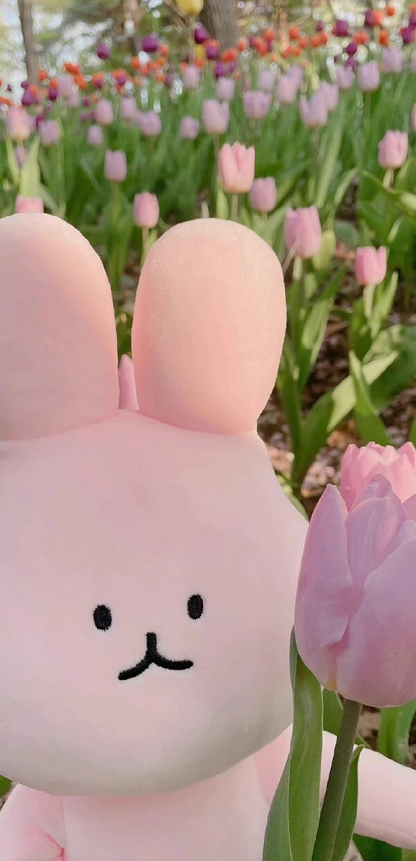 Hình nền điện thoại cute màu hồng với hoa anh đào