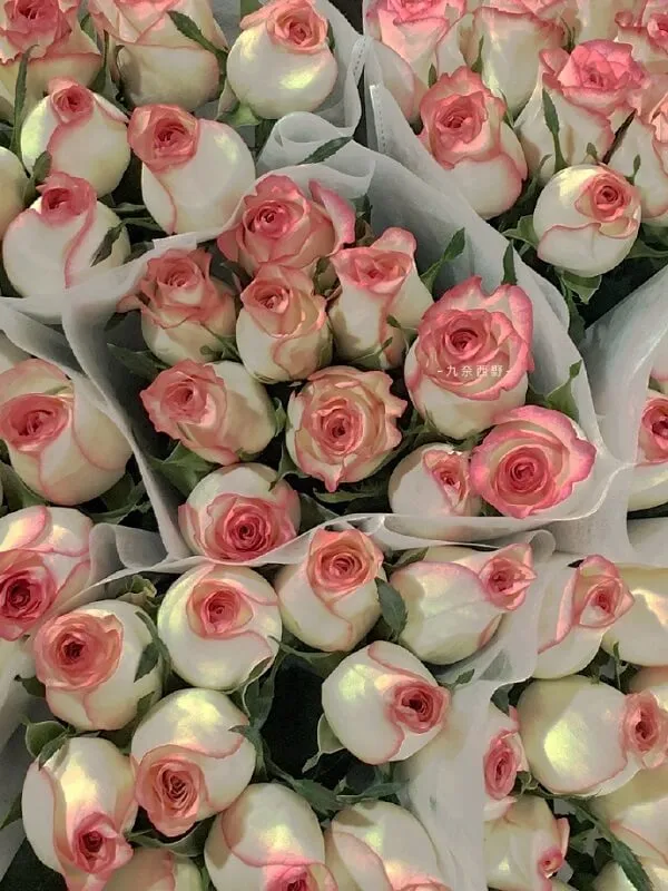 Một bó hình nền hoa hồng hoa hồng trắng và hồng