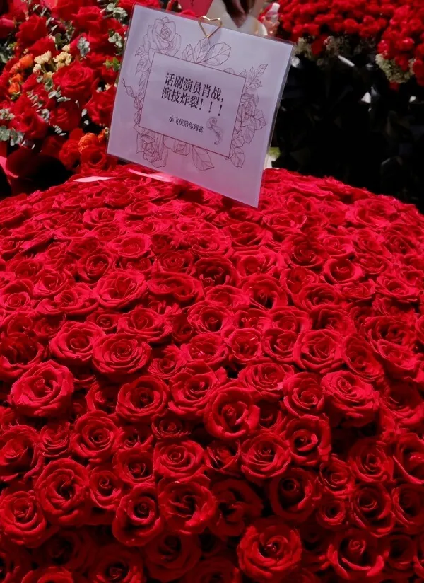 Red Roses hình nền hoa hồng để bán tại một cửa hàng hoa