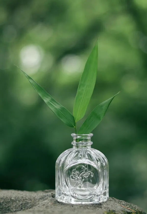 Một chai thủy tinh có một cây bên trong hình nền màu xanh lá cây