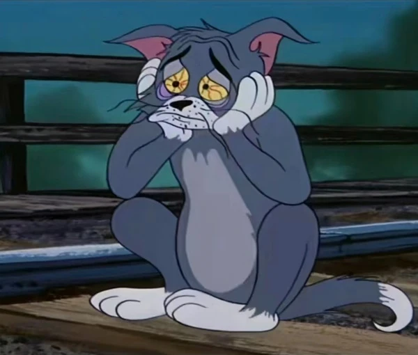 Một con mèo hoạt hình ngồi trên băng ghế meme buồn