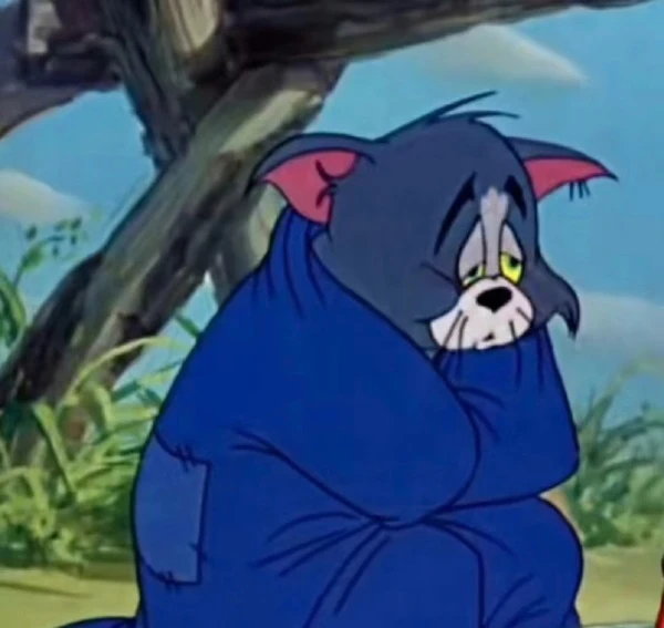 Một nhân vật hoạt hình trong bộ trang phục màu xanh meme buồn