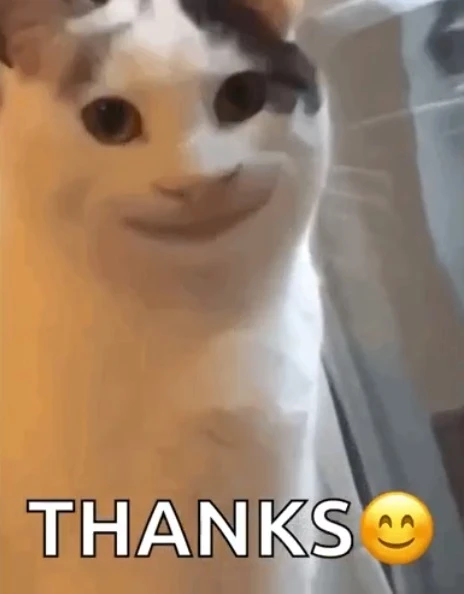 Một con mèo đang đứng trước cửa sổ meme cảm ơn