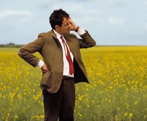 một người đàn ông trong bộ đồ đứng trên một cánh đồng meme chống nạnh