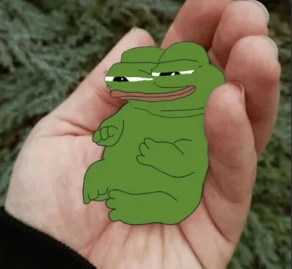 Một người cầm con ếch xanh trong tay meme frog