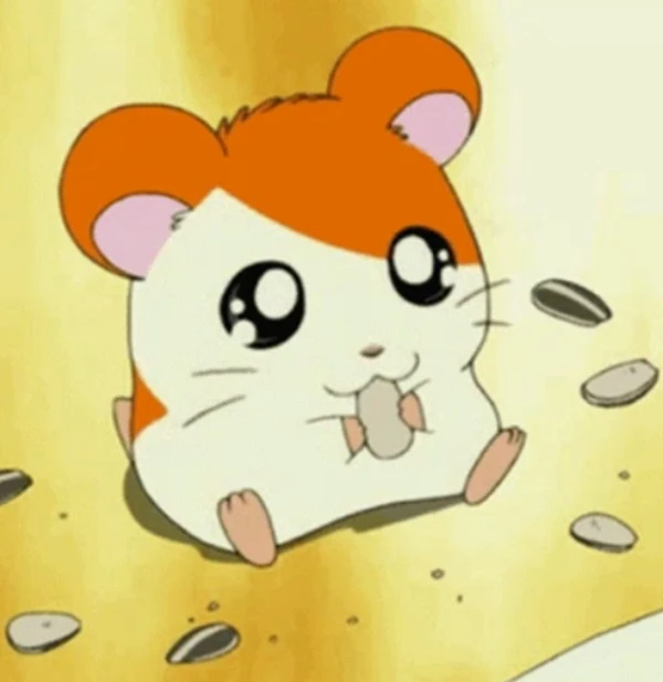 Chuột hoạt hình với mái tóc đỏ và khuôn mặt trắng meme hamster