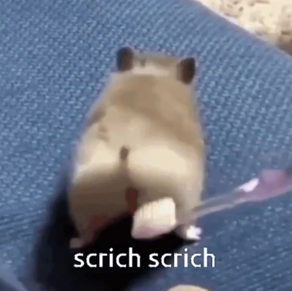 Một ham đang chơi với một món đồ chơi meme hamster
