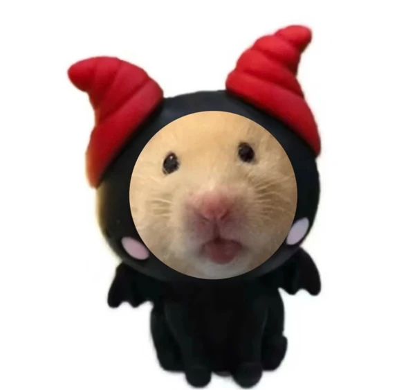 Một hamy đội mũ đỏ và áo sơ mi đen trắng meme hamster