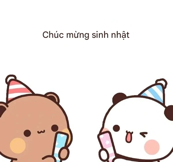 Gấu dễ thương và gấu với mũ sinh nhật meme happy birthday