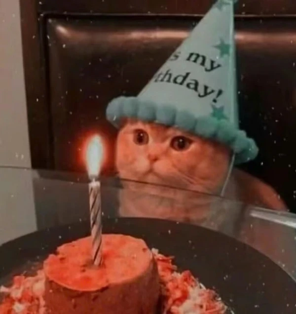 Một con mèo đội mũ sinh nhật đang ngồi trước bánh meme happy birthday