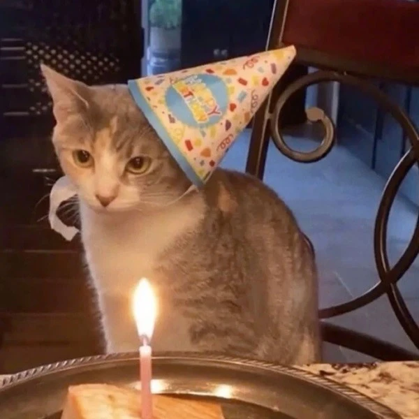 Một con mèo ngồi trước bánh sinh nhật meme happy birthday