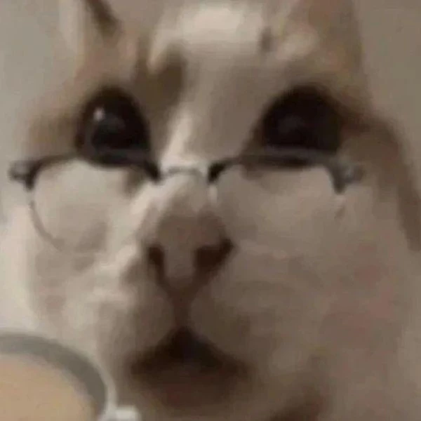 meme meo bua mot con meo co ly khi uong ca phe