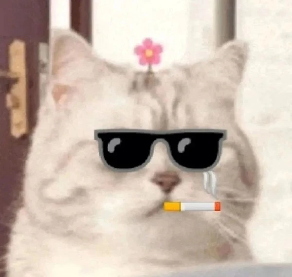 meme meo bua mot con meo deo kinh ram va hut thuoc la