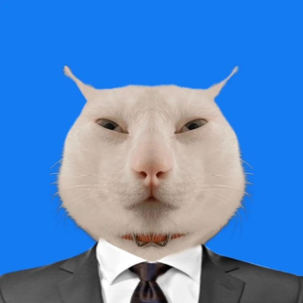 meme meo bua mot con meo trong bo do va buoc voi nen mau