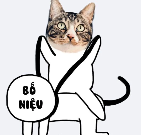 meme meo bua mot con meo voi mot dau hieu noi khong