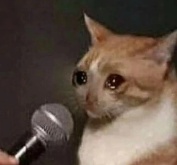 Một con mèo đang ngồi trước micro meme mèo khóc