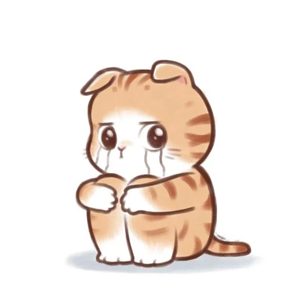 Một con mèo hoạt hình với một cái nhìn buồn bã trên khuôn mặt của nó meme mèo khóc