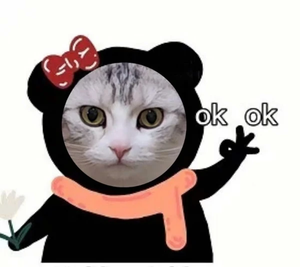 Một con mèo mặc trang phục màu đen và trắng meme ok