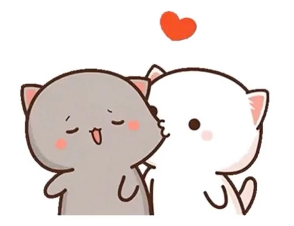 Một vài con mèo ôm và hôn meme tình yêu