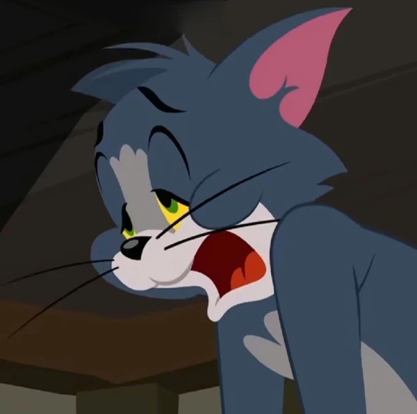 Hình nền meme tom and jerry: Một con mèo có đôi mắt màu vàng và mũi đen