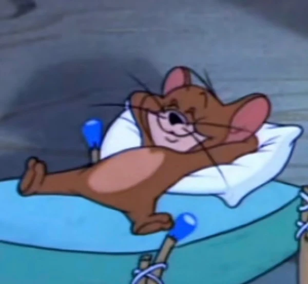 meme tom and jerry - một nhân vật hoạt hình trên giường với một con mèo