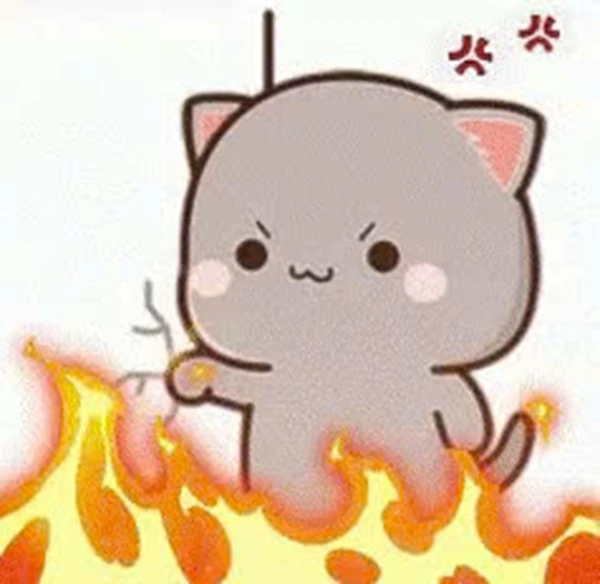 Một con mèo đang ngồi trên ngọn lửa meme tức giận