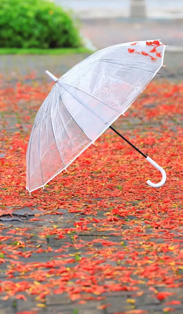 Có một chiếc rõ ràng đang ngồi trên mặt đất