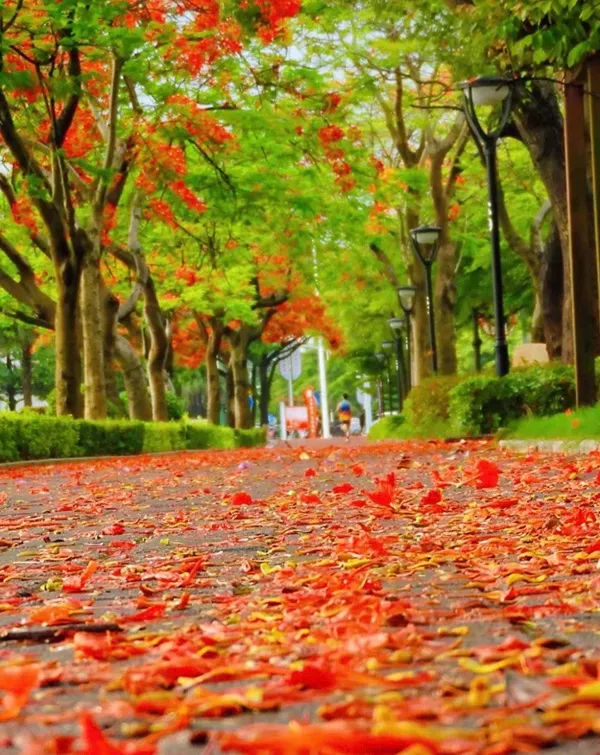 Có một vòi lửa màu đỏ đang ngồi bên đường