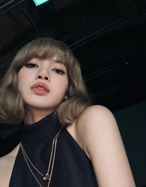 Hình ảnh lisa có một người phụ nữ mặc chiếc váy đen tạo dáng cho bức tranh