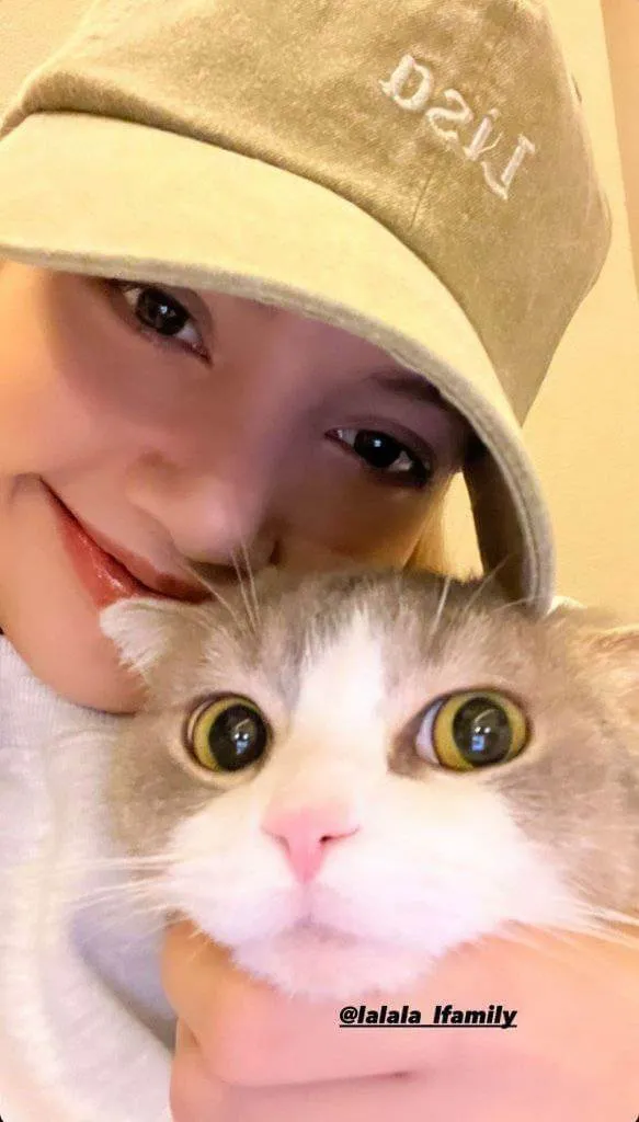 Ảnh lisa trên instagram có một người phụ nữ đang ôm con mèo tay