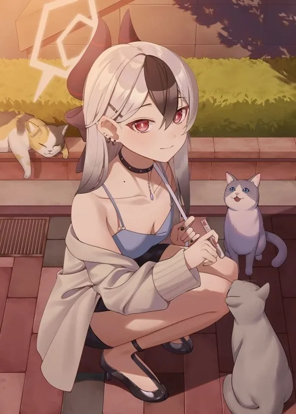 Ảnh onikata kayoko cô gái anime gợi cảm với mái tóc trắng ngồi trên mặt đất bên cạnh một con mèo