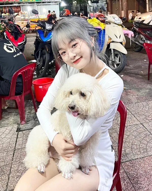 Gấm kami có một người phụ nữ ngồi trên ghế đỏ đang cầm con chó trắng