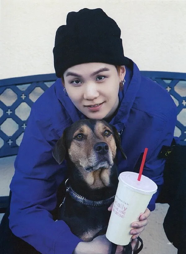 Ảnh suga cute có một người đàn ông ngồi trên ghế dài với con chó và ly đồ uống