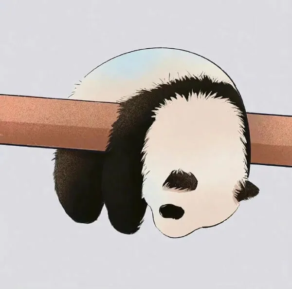 Có một con gấu trúc đang ngủ trên cành